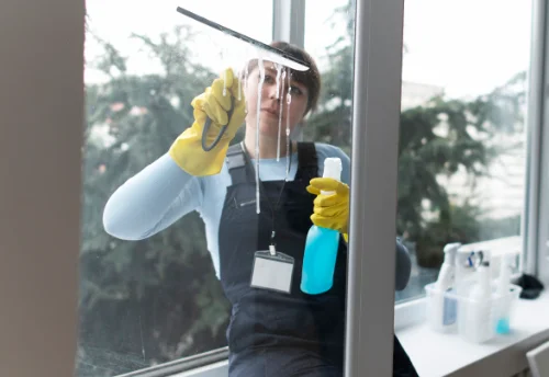 Nettoyage de vitres intérieures et extérieures à Saint-Révérien